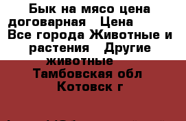 Бык на мясо цена договарная › Цена ­ 300 - Все города Животные и растения » Другие животные   . Тамбовская обл.,Котовск г.